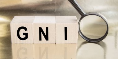 GNI sözcüğüyle tahta bloklar. Gayri safi milli gelir, GSYİH ürünü, ekonomi kavramı