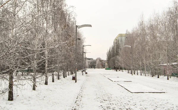Yaya yolu boyunca ağaçlarla ve fenerlerle kaplı kış şehri manzarası, kış bulutlu bir gün.
