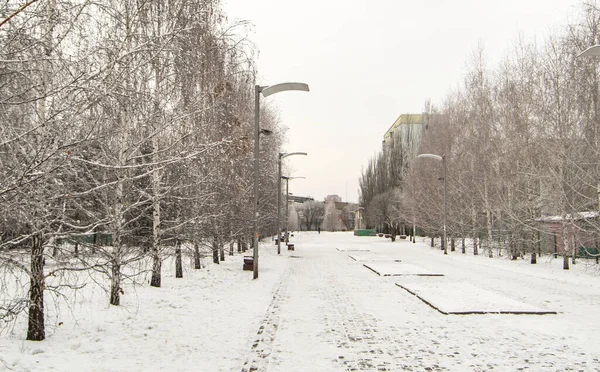 Vinter stadslandskap med träd längs gångstigen och lyktor, vinter molnigt dag Stockfoto