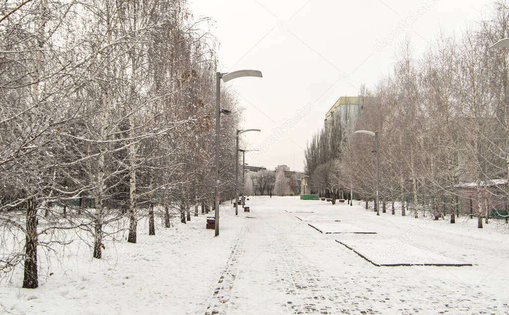 Winter city landscape with trees along the pedestrian path and lanterns, winter cloudy day