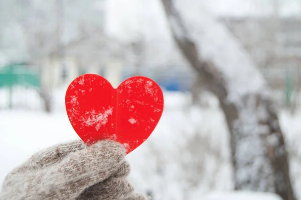 En kvinnlig hand i en stickad varm handske håller ett rött hjärta, på en suddig bakgrund av en stadspark, snö, vinter, Alla hjärtans dag koncept, närbild Stockbild