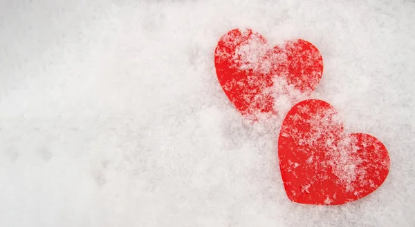 Two beautiful romantic red hearts covered with snow, together on a white snowy background. The concept of love and Valentines Day — Stock Photo, Image