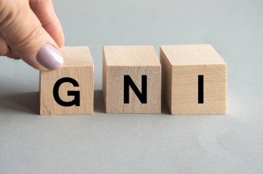 GNI sözcüğüyle tahta bloklar. Gayri safi milli gelir, GSYİH ürünü, ekonomi kavramı