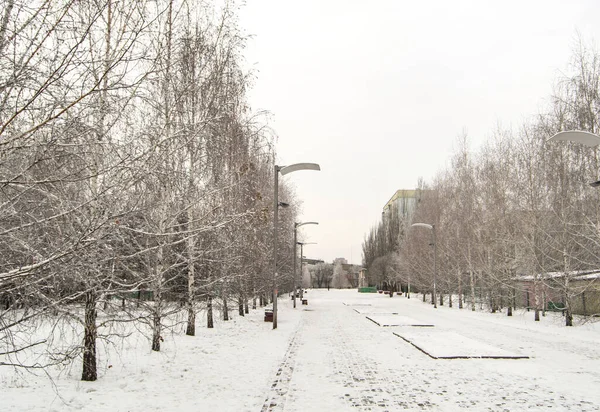 Winter city landscape with trees along the pedestrian path and lanterns, winter cloudy day — Stock Photo, Image