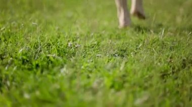 Genç kadın sahada koşuyor.
