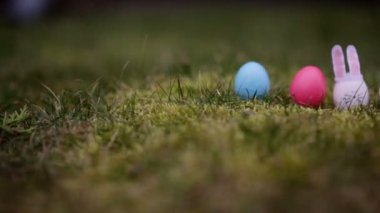 Dekoratif tavşan üzerinde yeşil çimen