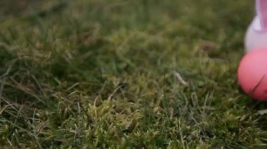 bunnies ve yumurta üzerinde yeşil çimen