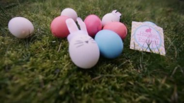 bunnies ve yumurta üzerinde yeşil çimen