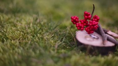 Alyans ağaç gövdesi üzerinde