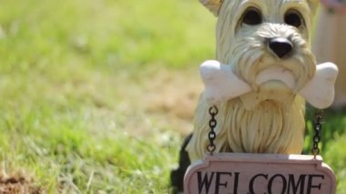 köpek, Pamuk Prenses ve gnome