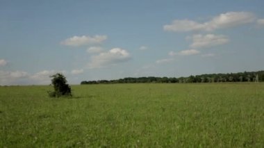 Genç kadın sahada koşuyor.