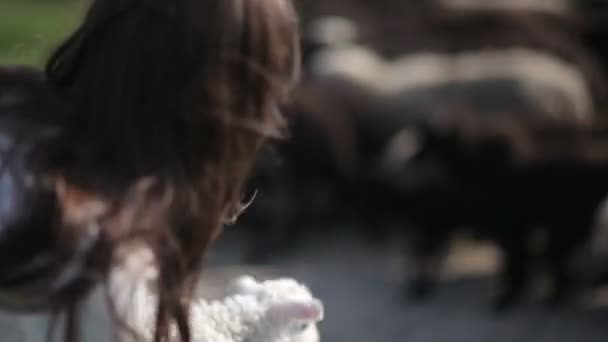 Young woman Holds Lamb — Stock Video