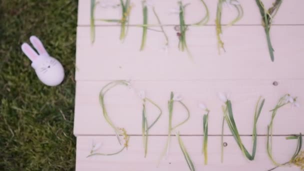 Joyeux printemps décoration  