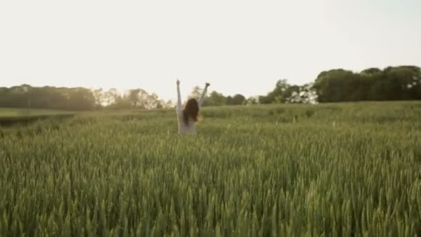 Молодая женщина идет по полю — стоковое видео