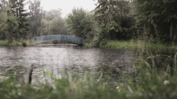 호수 뒤에 잔디 — 비디오