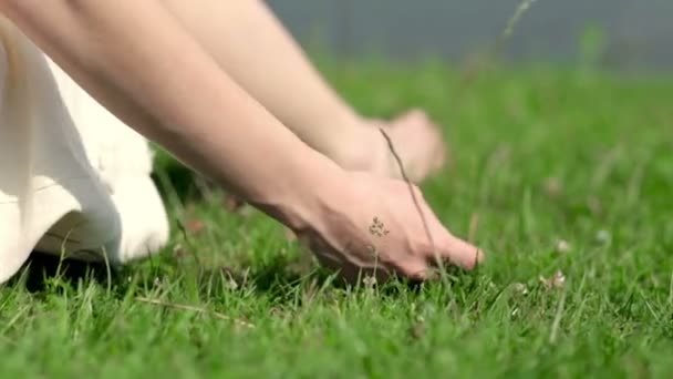 mains féminines touchant l'herbe 