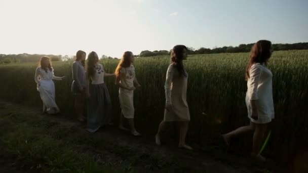 Vrouwen lopen in de buurt van veld — Stockvideo