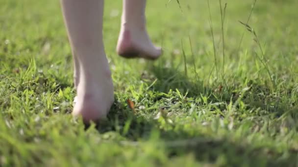 Mujer joven corriendo en el campo — Vídeo de stock