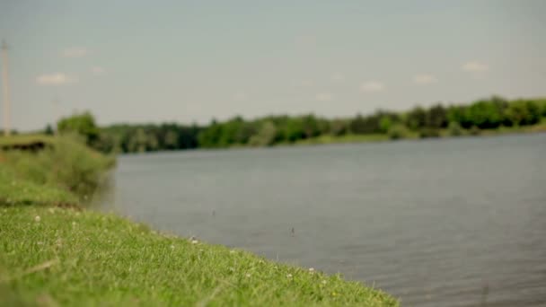 Jeune femme près du lac — Video