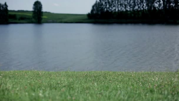 jeune femme marche près du lac 