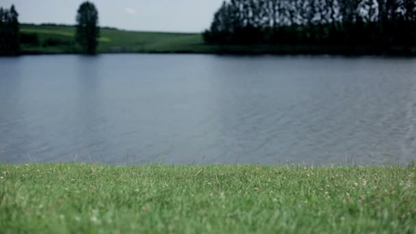 Joven mujer caminando cerca del lago — Vídeos de Stock