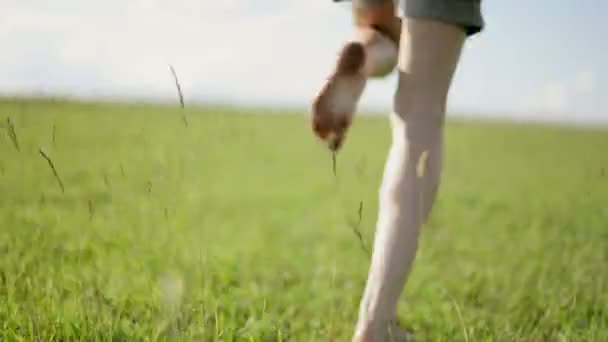 Jeune femme courir dans le champ — Video