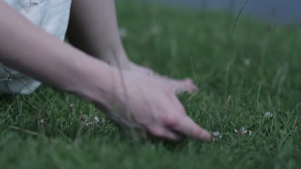 mains féminines touchant l'herbe 