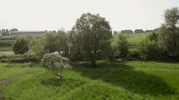 Meninas correndo em Meadow — Vídeo de Stock