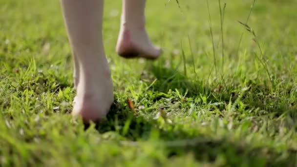 Genç kadın sahada koşuyor. — Stok video