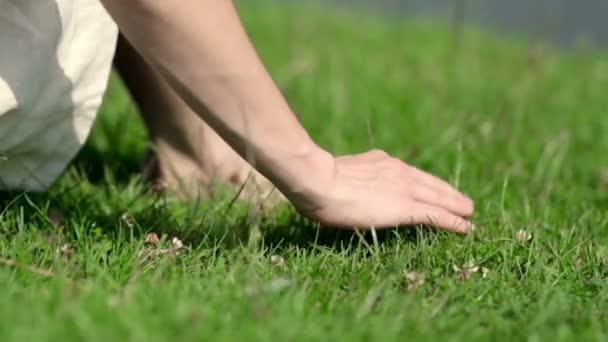 mains féminines touchant l'herbe 