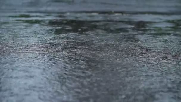 Lluvia el día de la boda — Vídeos de Stock