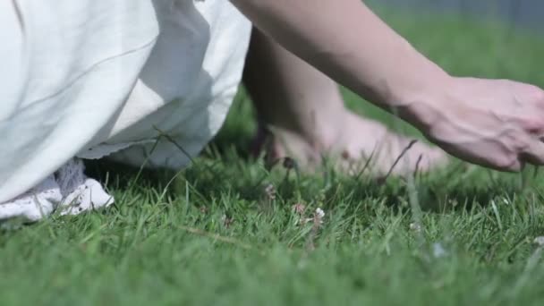 Mãos femininas tocando grama — Vídeo de Stock