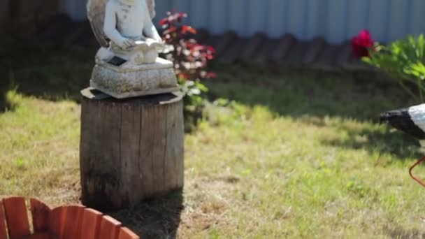 Сказочные статуэтки на газоне — стоковое видео