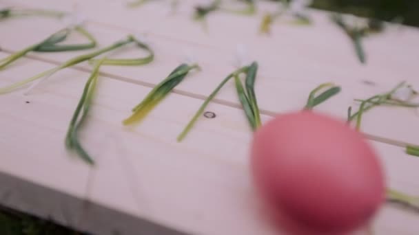 Decoración de primavera feliz — Vídeo de stock