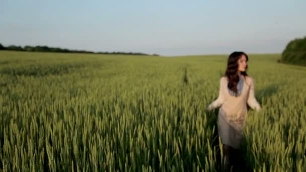 Joven mujer va a través de campo — Vídeo de stock
