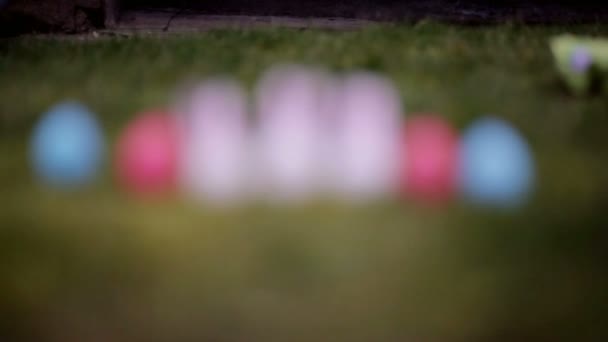 Lapins décoratifs sur herbe verte 