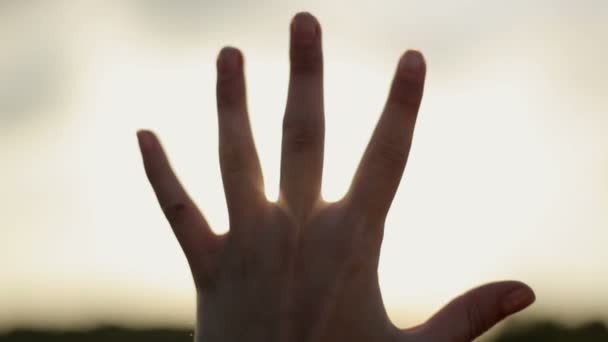 Lidská ruka a slunce — Stock video