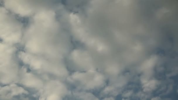 Weiße Wolken am Himmel — Stockvideo