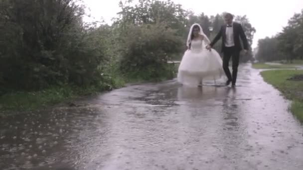 Νύφη και ο γαμπρός που τρέχουν κάτω από βροχή — Αρχείο Βίντεο