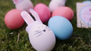 bunnies ve yumurta üzerinde yeşil çimen