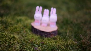 Dekoratif Paskalya tavşanları