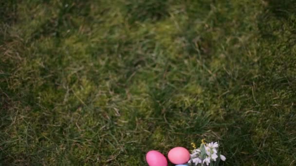 oeufs de Pâques sur l'herbe