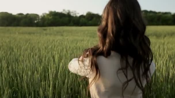 Молода жінка йде полем — стокове відео