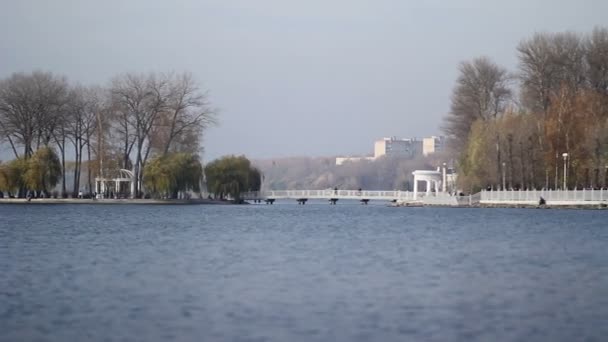 Grüne Insel und Wasser — Stockvideo