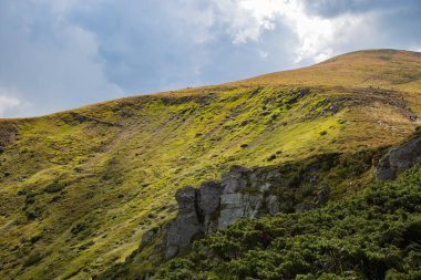 Büyük yeşil bir çayırın üzerinde mavi gökyüzü. Yüksek dağ