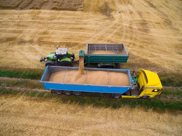 Harvesting in the field. Aerial view. Wheat field — Stock Photo, Image