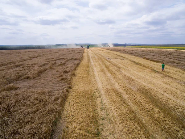 Harvesting in the field. Aerial view. Wheat field — Stock Photo, Image