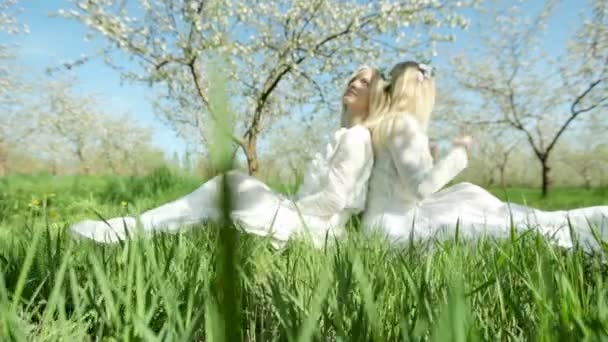 Las hermanas-gemelas juntos descansan en el huerto floreciente de manzanas. — Vídeo de stock