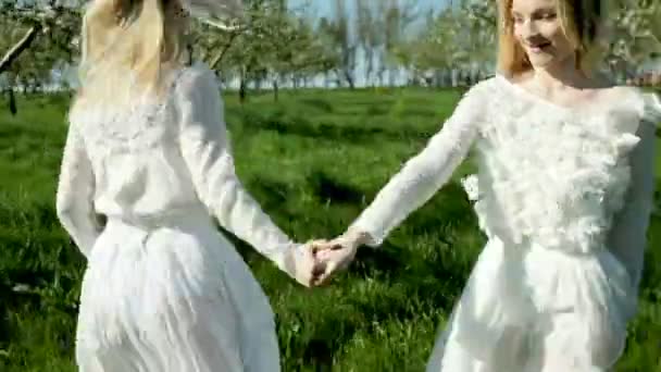 Hermanas gemelas juntos descansan y se divierten en un huerto de manzanas en flor. — Vídeo de stock