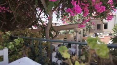 Açık havada rahat bir restoran çiçeklerin arasında bahçede.